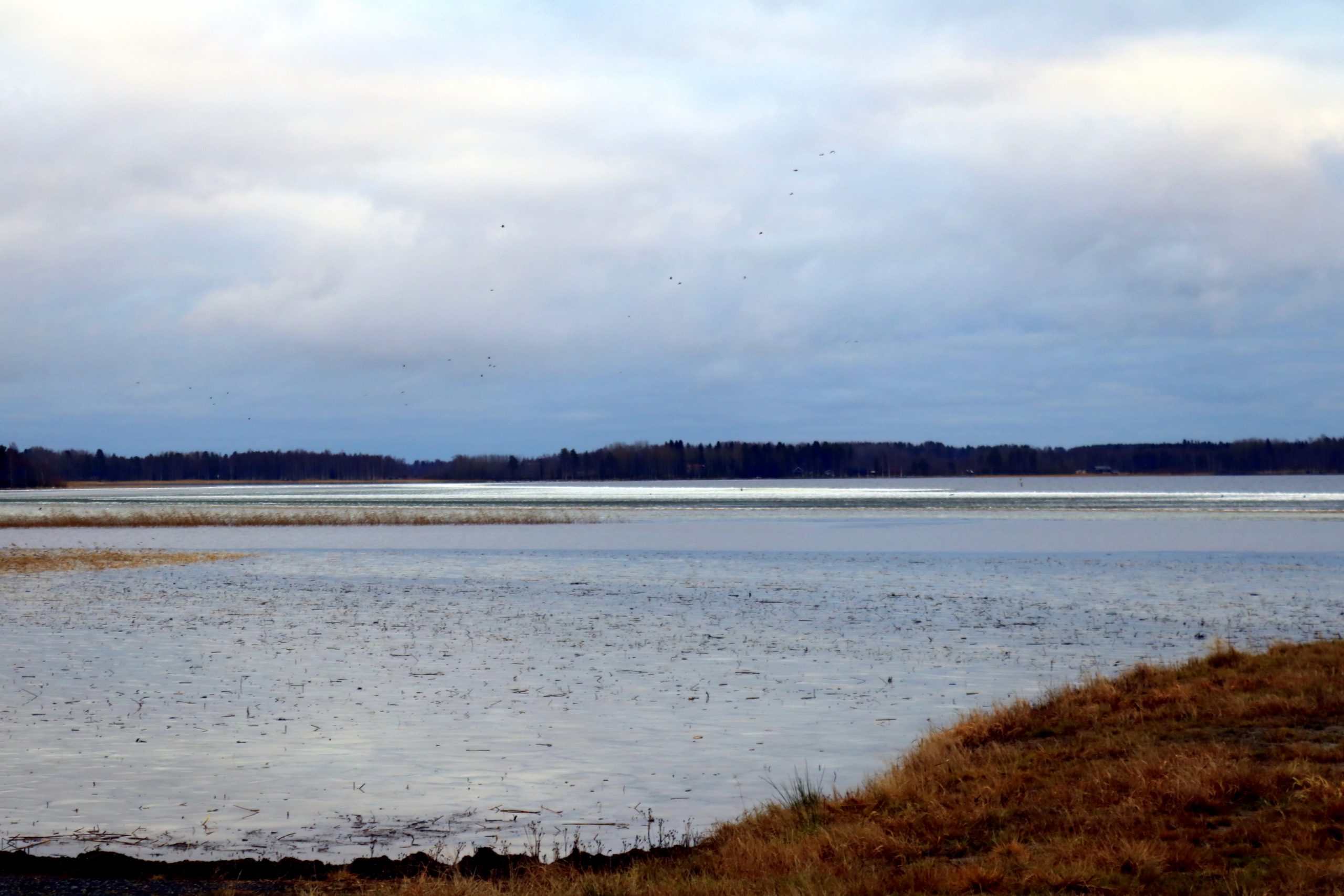 Etelä-Pohjanmaan ELY-keskuksesta haettavissa avustuksia ...